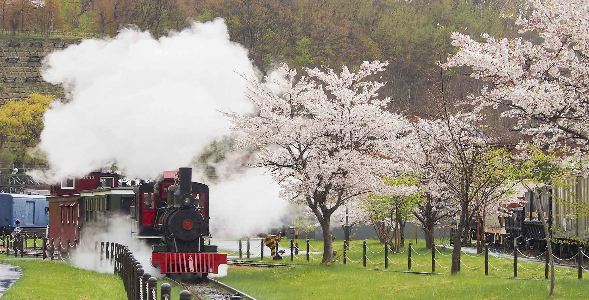 北海道小樽：小樽天狗山から見た街全景